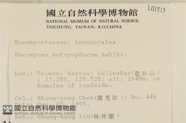 登錄號:L00001515藏品圖，第2張