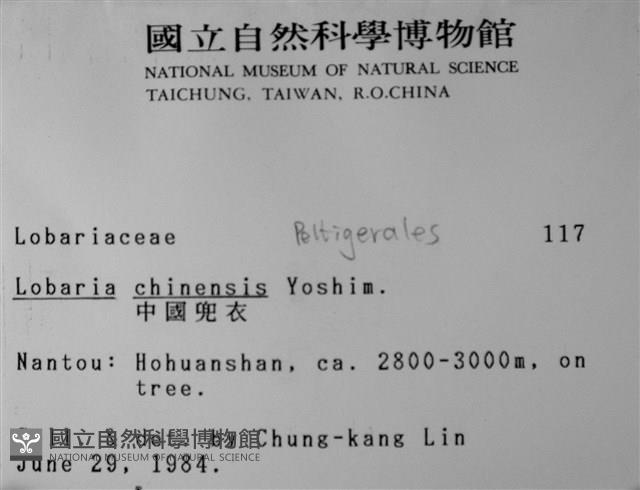 中國兜衣藏品圖，第2張