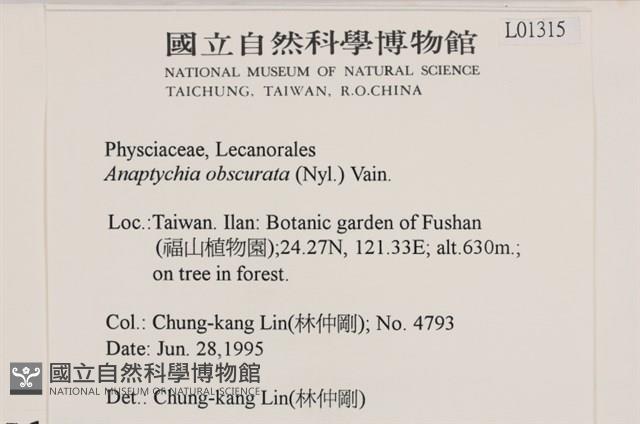 登錄號:L00001315藏品圖，第2張