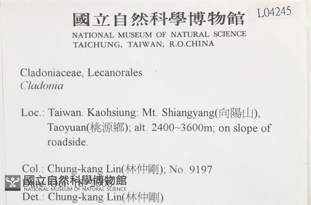 登錄號:L00004245藏品圖，第2張