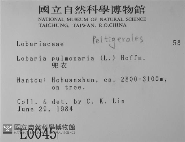 兜衣藏品圖，第2張