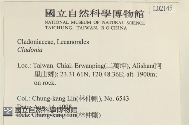 登錄號:L00002145藏品圖，第2張