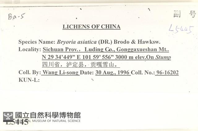 登錄號:L00005445藏品圖，第2張