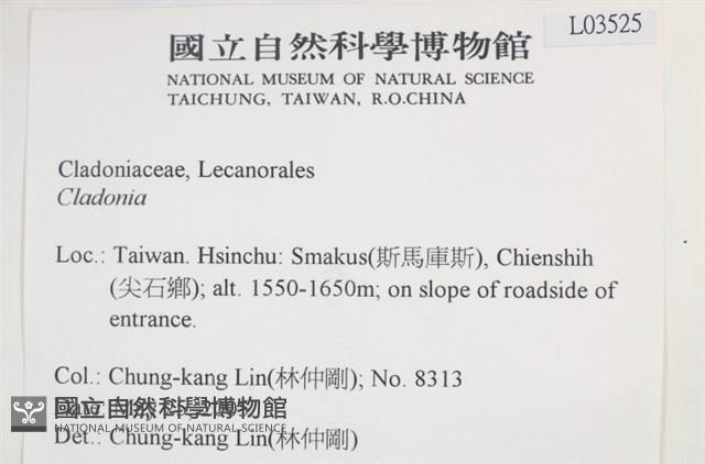 登錄號:L00003525藏品圖，第2張