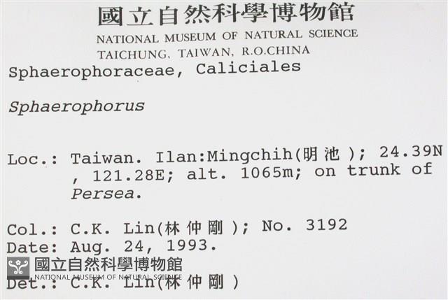 登錄號:L00000675藏品圖，第2張