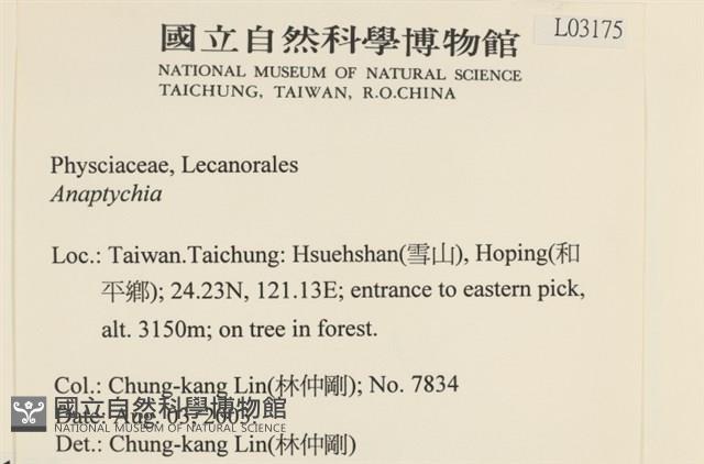 登錄號:L00003175藏品圖，第2張