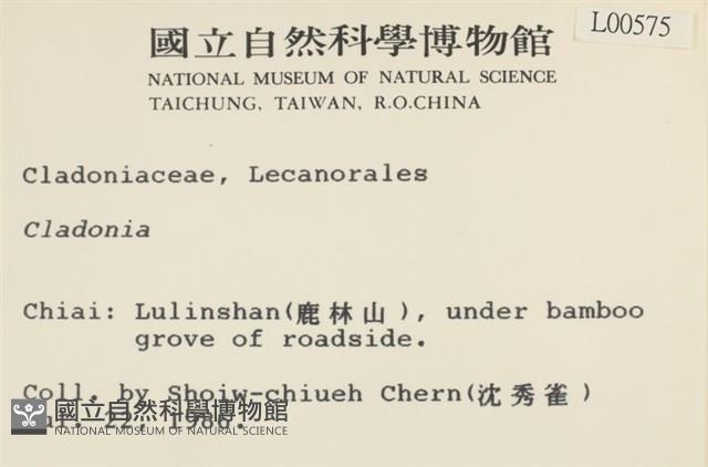 登錄號:L00000575藏品圖，第2張