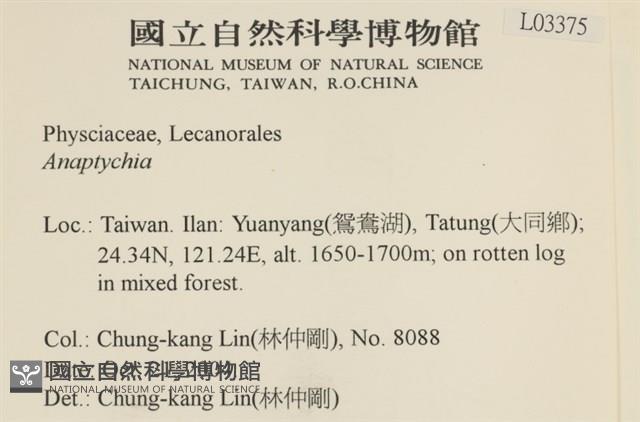 登錄號:L00003375藏品圖，第2張