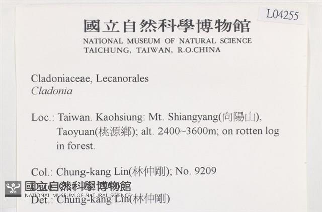 登錄號:L00004255藏品圖，第2張