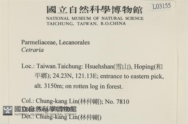 登錄號:L00003155藏品圖，第2張