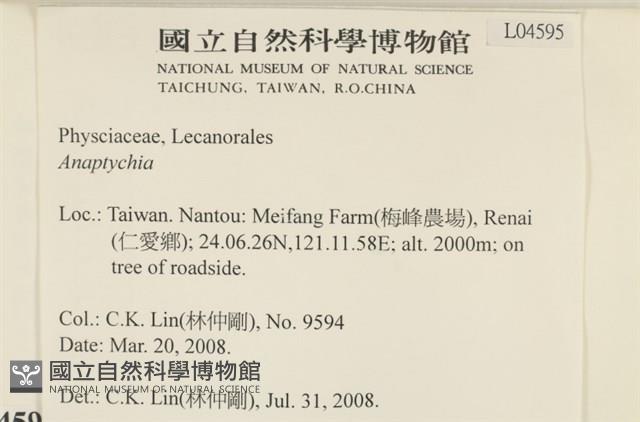 登錄號:L00004595藏品圖，第2張