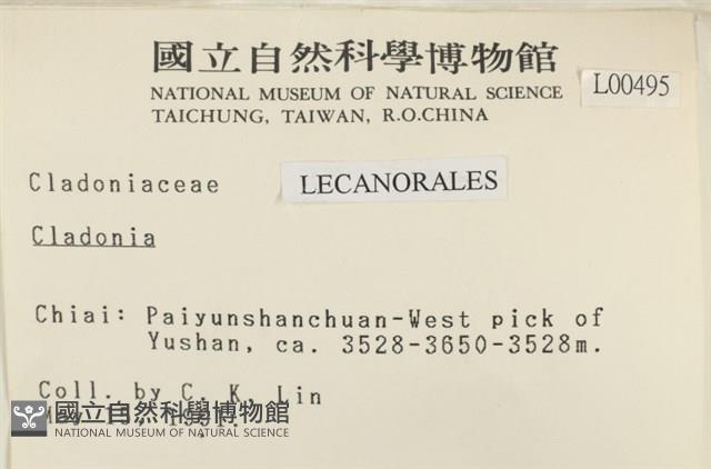 登錄號:L00000495藏品圖，第2張