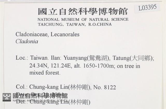 登錄號:L00003395藏品圖，第2張