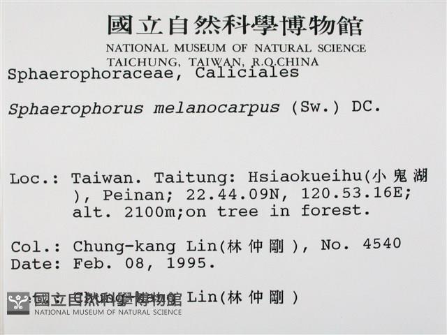 登錄號:L00001235藏品圖，第2張