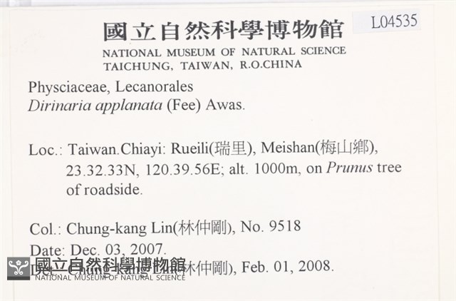 扁平黑囊基衣藏品圖，第2張