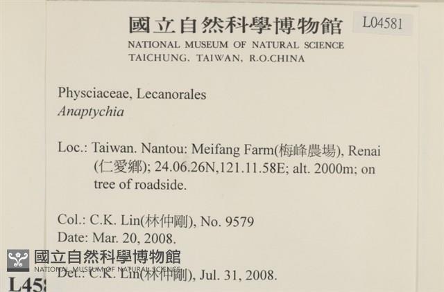 登錄號:L00004581藏品圖，第2張