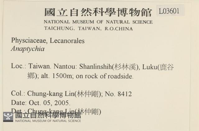 登錄號:L00003601藏品圖，第2張