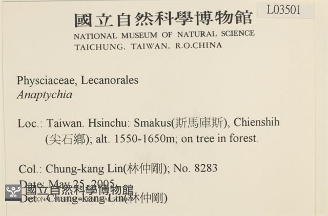 登錄號:L00003501藏品圖，第2張