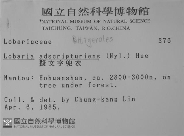 擬文字兜衣藏品圖，第2張