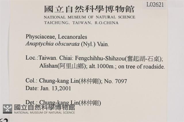 登錄號:L00002621藏品圖，第2張