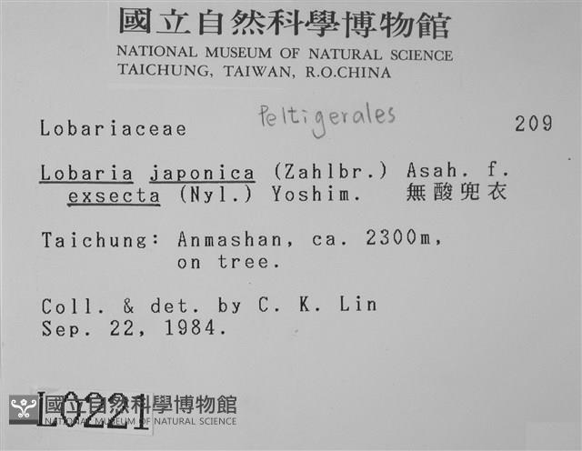 無酸兜衣藏品圖，第2張