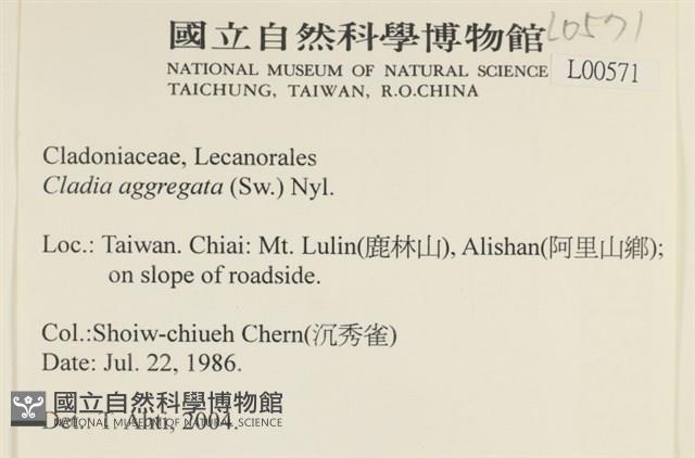 登錄號:L00000571藏品圖，第2張