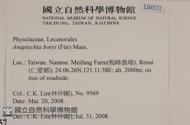 登錄號:L00004571藏品圖，第2張