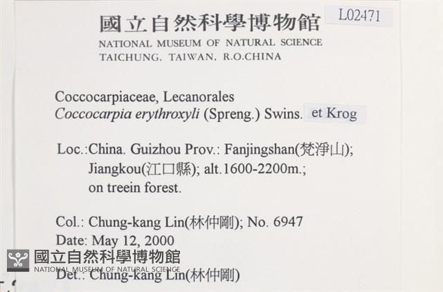 環紋瓦衣藏品圖，第2張