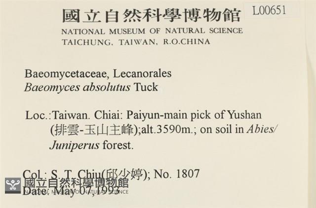 登錄號:L00000651藏品圖，第2張