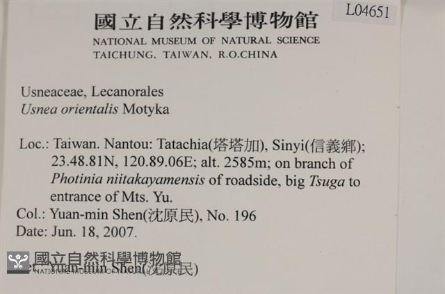 東方菘蘿藏品圖，第2張