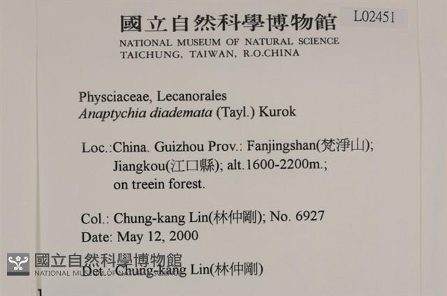 Accession Number:L00002451 Collection Image, Figure 2, Total 2 Figures