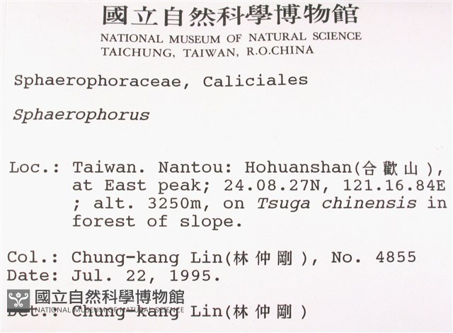 登錄號:L00001351藏品圖，第2張