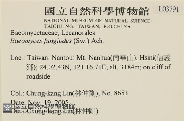登錄號:L00003791藏品圖，第2張
