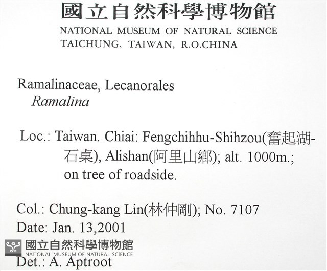 登錄號:L00002631藏品圖，第2張