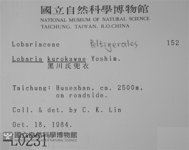 黑川氏兜衣藏品圖，第2張