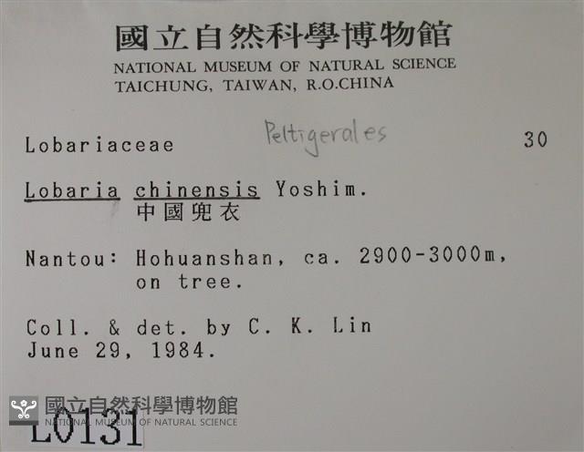 中國兜衣藏品圖，第2張