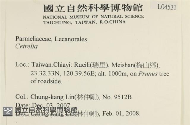 登錄號:L00004531藏品圖，第2張
