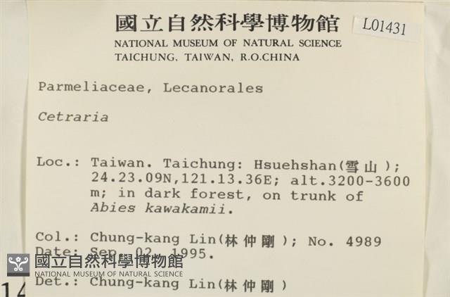 登錄號:L00001431藏品圖，第2張