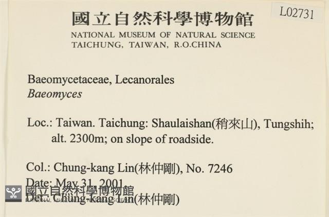 登錄號:L00002731藏品圖，第2張