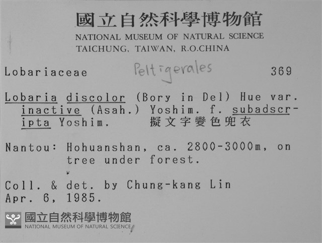 擬文字變色兜衣藏品圖，第2張