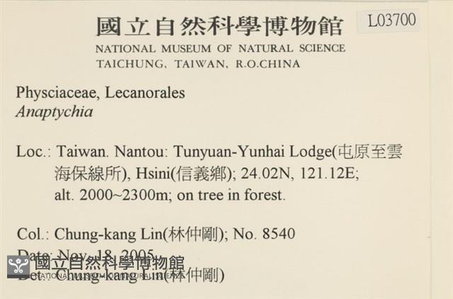 登錄號:L00003700藏品圖，第2張