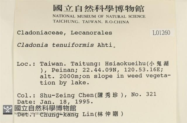 登錄號:L00001260藏品圖，第2張