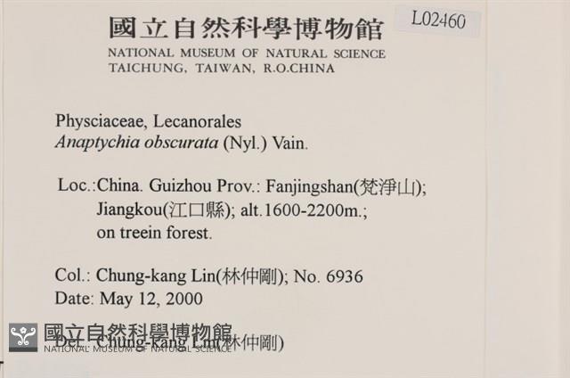 登錄號:L00002460藏品圖，第2張