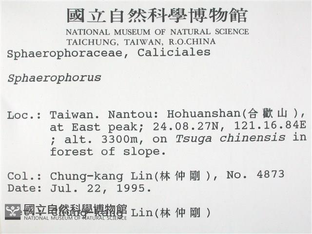 登錄號:L00001360藏品圖，第2張