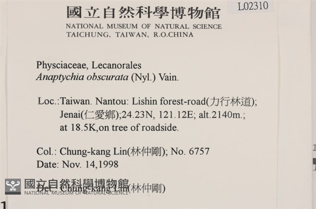 登錄號:L00002310藏品圖，第2張