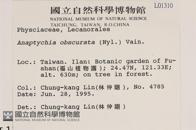 登錄號:L00001310藏品圖，第2張
