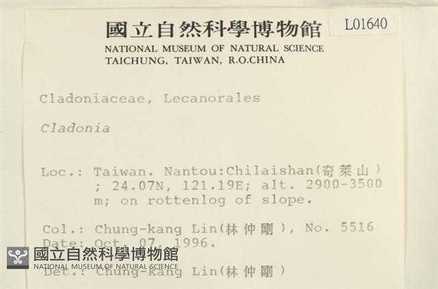 登錄號:L00001640藏品圖，第2張