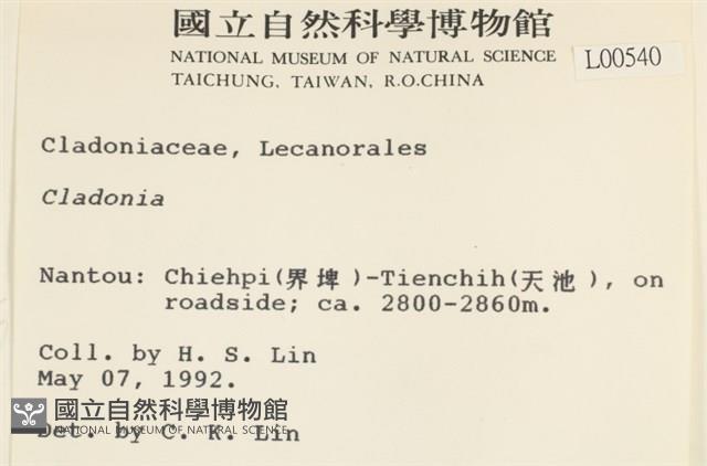 登錄號:L00000540藏品圖，第2張