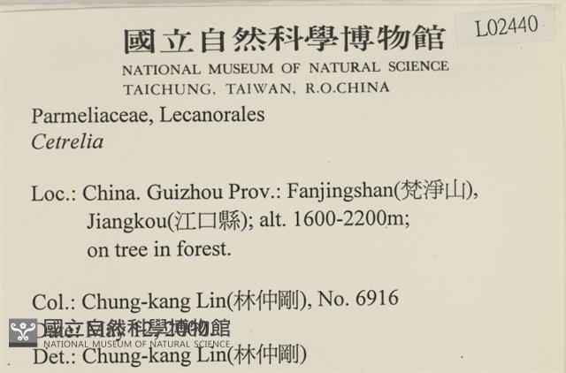 登錄號:L00002440藏品圖，第2張