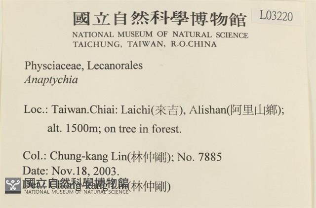 登錄號:L00003220藏品圖，第2張
